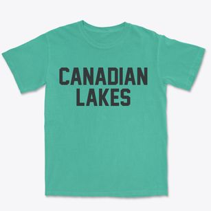 Canadian Lakes Michigan Classic Block Premium Heavyweight T-shirt
