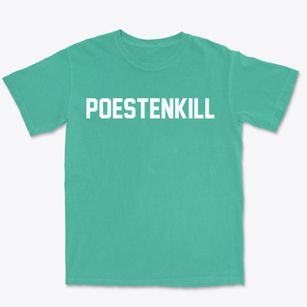 Poestenkill New York Classic Block Premium Heavyweight T-shirt