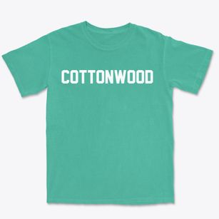 Cottonwood Arizona Classic Block Premium Heavyweight T-shirt