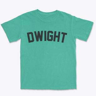 Dwight Illinois Classic Curve Premium Heavyweight T-shirt