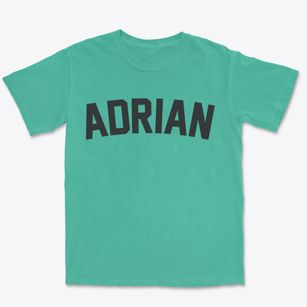 Adrian Missouri Classic Curve Premium Heavyweight T-shirt