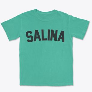 Salina Oklahoma Classic Curve Premium Heavyweight T-shirt
