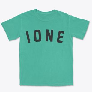 Ione Washington Classic Curve Premium Heavyweight T-shirt