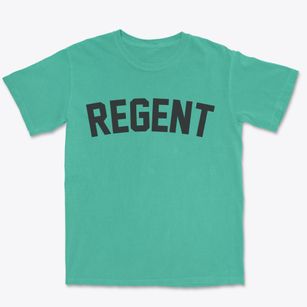 Regent North Dakota Classic Curve Premium Heavyweight T-shirt