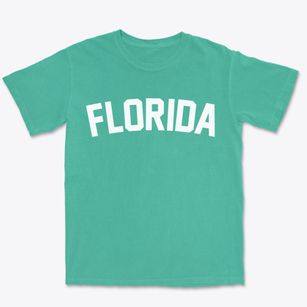 Florida New York Classic Curve Premium Heavyweight T-shirt