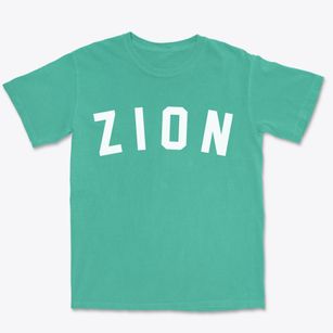 Zion Pennsylvania Classic Curve Premium Heavyweight T-shirt