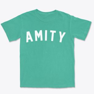 Amity New York Classic Curve Premium Heavyweight T-shirt
