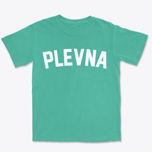 Plevna Missouri Classic Curve Premium Heavyweight T-shirt