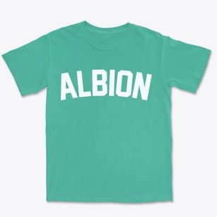Albion New York Classic Curve Premium Heavyweight T-shirt