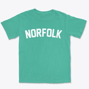 Norfolk Virginia Classic Curve Premium Heavyweight T-shirt