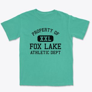Fox Lake Wisconsin Athletic Dept Premium Heavyweight T-shirt