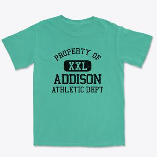 Addison Illinois Athletic Dept Premium Heavyweight T-shirt