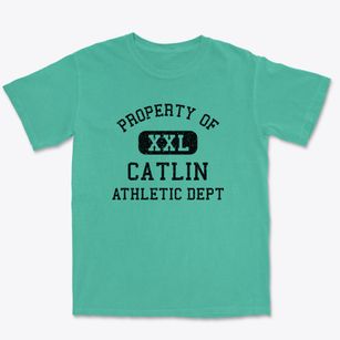 Catlin Illinois Athletic Dept Premium Heavyweight T-shirt