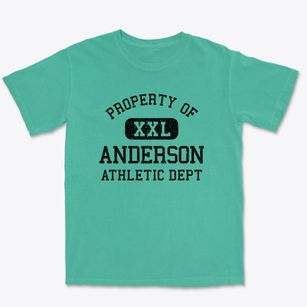Anderson South Carolina Athletic Dept Premium Heavyweight T-shirt