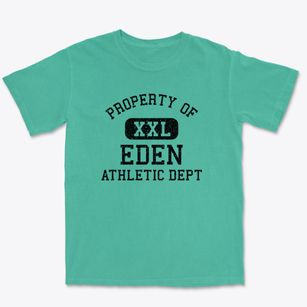 Eden Wisconsin Athletic Dept Premium Heavyweight T-shirt