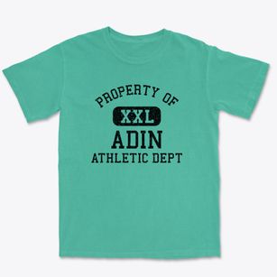 Adin California Athletic Dept Premium Heavyweight T-shirt