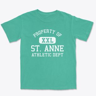 St. Anne Illinois Athletic Dept Premium Heavyweight T-shirt