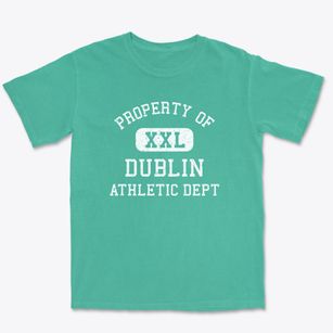 Dublin North Carolina Athletic Dept Premium Heavyweight T-shirt