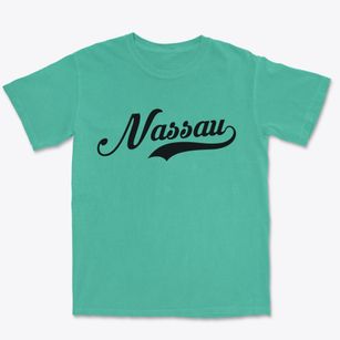 Nassau New York Vintage Team Premium Heavyweight T-shirt