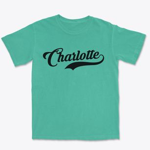 Charlotte New York Vintage Team Premium Heavyweight T-shirt