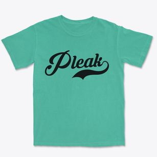 Pleak Texas Vintage Team Premium Heavyweight T-shirt
