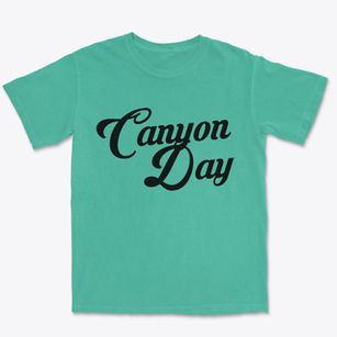 Canyon Day Arizona Vintage Team Premium Heavyweight T-shirt
