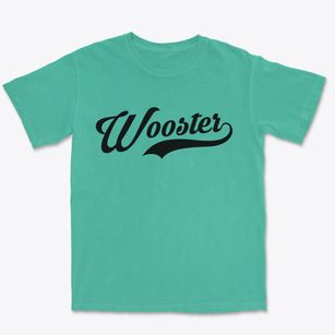 Wooster Ohio Vintage Team Premium Heavyweight T-shirt