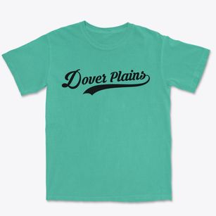 Dover Plains New York Vintage Team Premium Heavyweight T-shirt