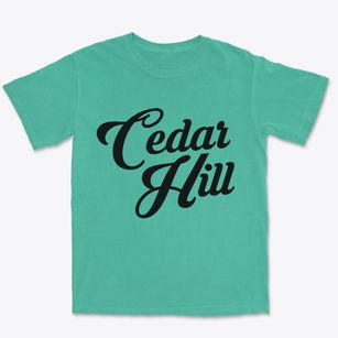 Cedar Hill New Mexico Vintage Team Premium Heavyweight T-shirt
