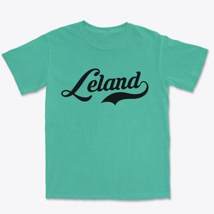Leland North Carolina Vintage Team Premium Heavyweight T-shirt