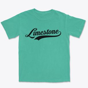 Limestone New York Vintage Team Premium Heavyweight T-shirt