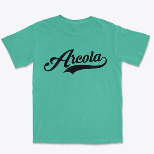 Arcola Mississippi Vintage Team Premium Heavyweight T-shirt