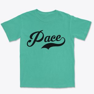 Pace Mississippi Vintage Team Premium Heavyweight T-shirt