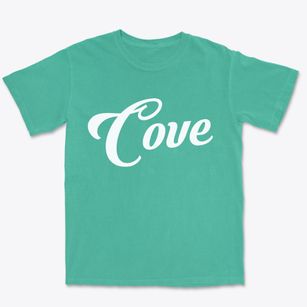 Cove Arkansas Vintage Team Premium Heavyweight T-shirt