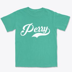 Perry Arkansas Vintage Team Premium Heavyweight T-shirt