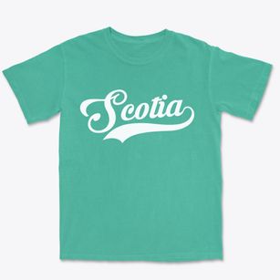 Scotia South Carolina Vintage Team Premium Heavyweight T-shirt