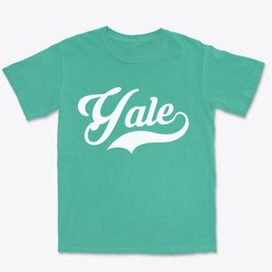 Yale Illinois Vintage Team Premium Heavyweight T-shirt