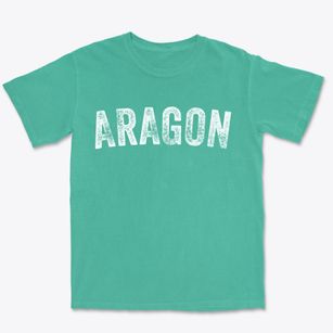 Aragon Georgia Timeless Retro Premium Heavyweight T-shirt