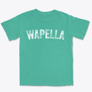 Wapella Illinois Timeless Retro Premium Heavyweight T-shirt