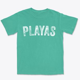 Playas New Mexico Timeless Retro Premium Heavyweight T-shirt