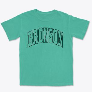 Bronson Michigan Trendy Block Premium Heavyweight T-shirt