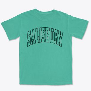Salisbury Missouri Trendy Block Premium Heavyweight T-shirt