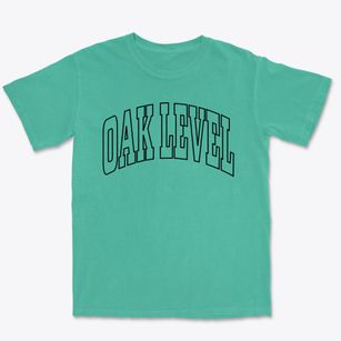 Oak Level Virginia Trendy Block Premium Heavyweight T-shirt