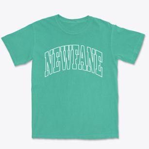 Newfane New York Trendy Block Premium Heavyweight T-shirt