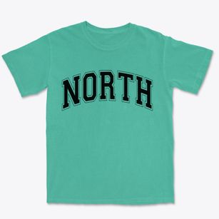 North South Carolina Varsity Premium Heavyweight T-shirt