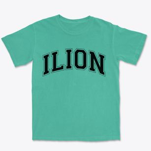 Ilion New York Varsity Premium Heavyweight T-shirt