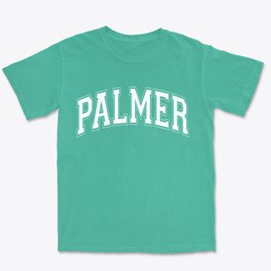 Palmer Illinois Varsity Premium Heavyweight T-shirt