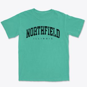 Northfield Illinois Urban Vibe Premium Heavyweight T-shirt