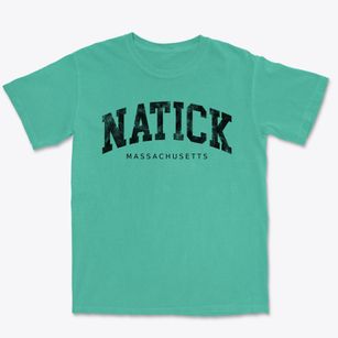 Natick Massachusetts Urban Vibe Premium Heavyweight T-shirt