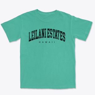 Leilani Estates Hawaii Urban Vibe Premium Heavyweight T-shirt